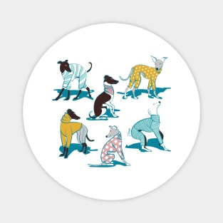 Greyhounds dogwalk // pattern // navy blue background Magnet
